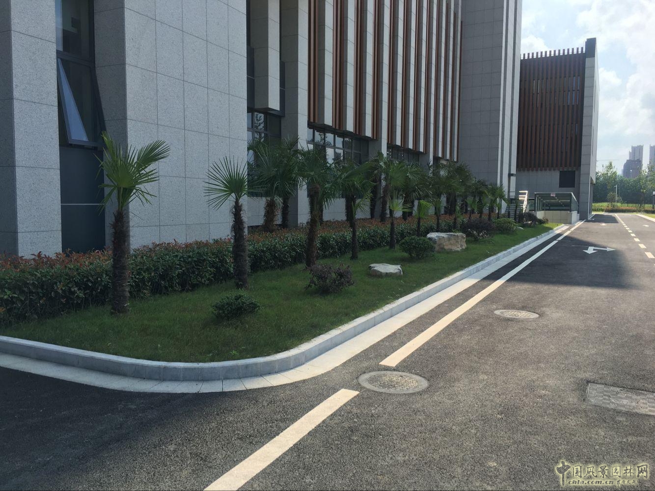 2016園冶杯:安徽城鄉規劃大廈景觀綠化工程