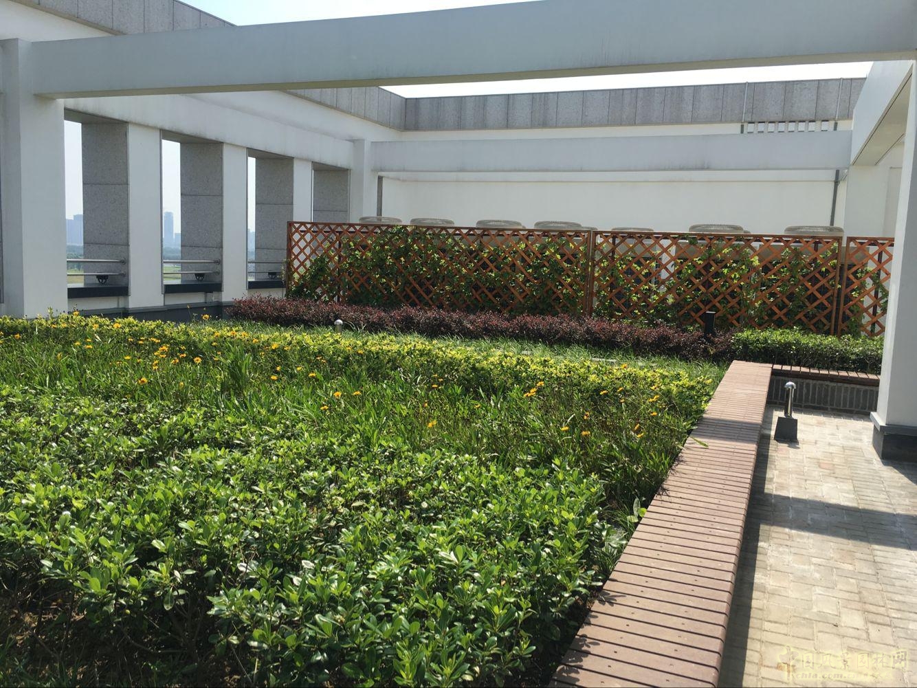 2016園冶杯:安徽城鄉規劃大廈景觀綠化工程