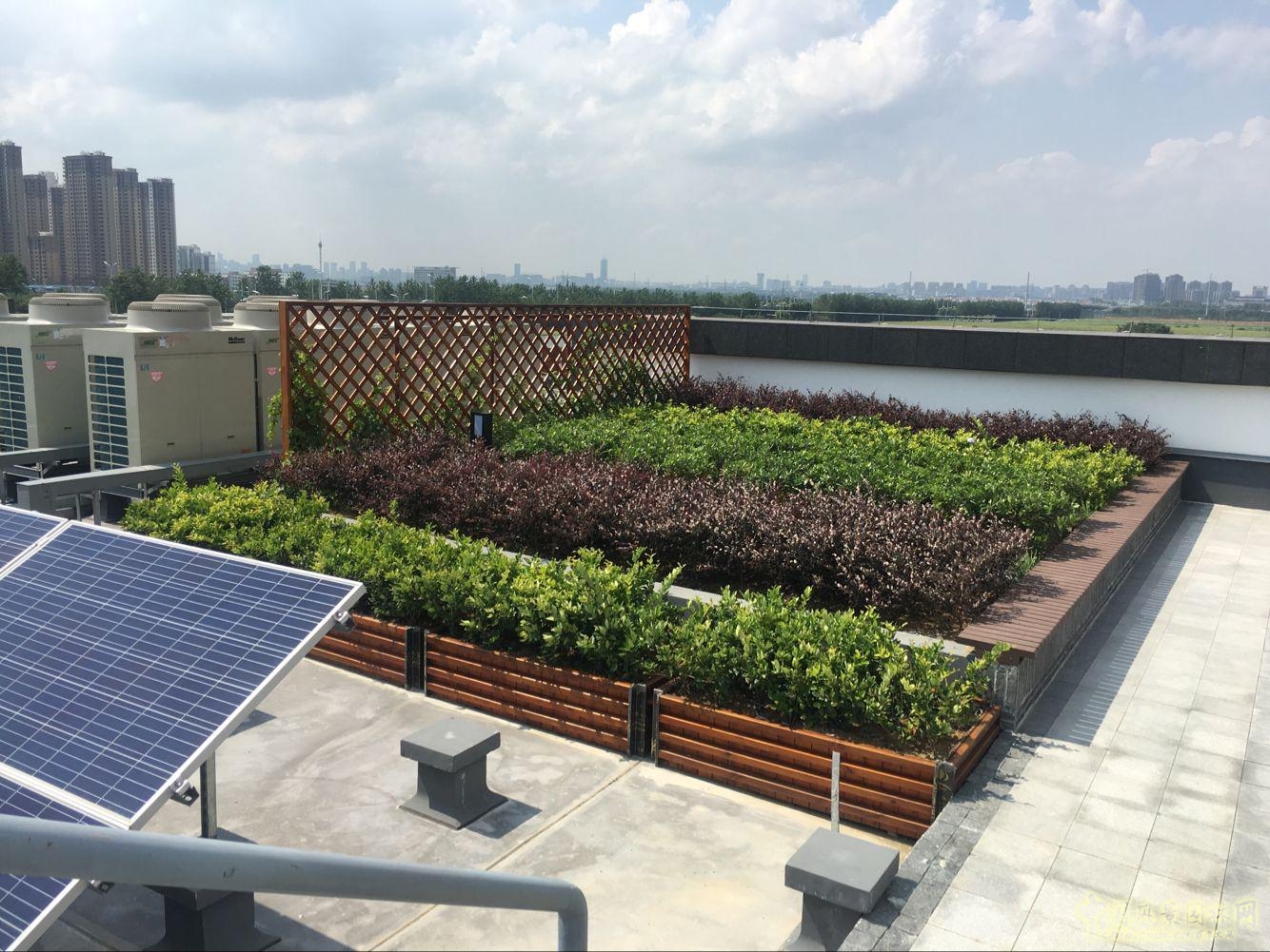 2016園冶杯:安徽城鄉規劃大廈景觀綠化工程