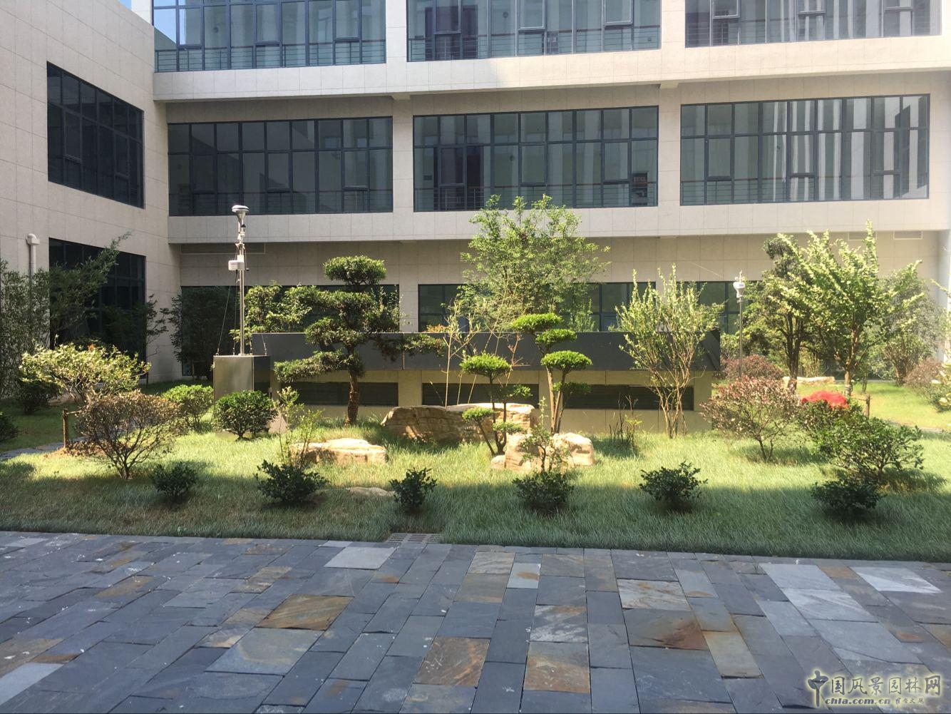 2016園冶杯:安徽城鄉規劃大廈景觀綠化工程