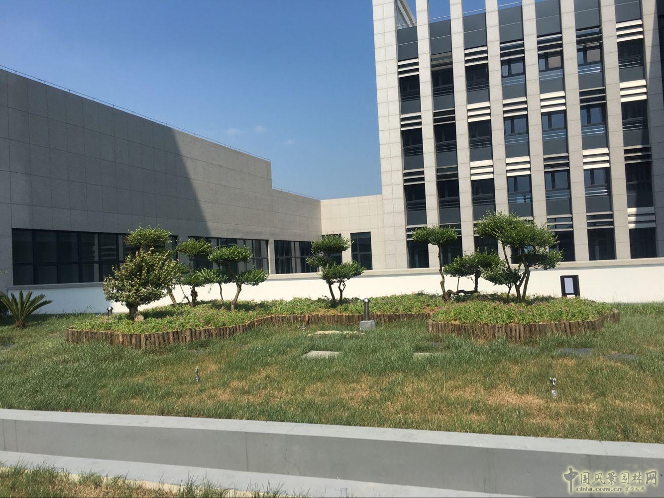 2016園冶杯:安徽城鄉規劃大廈景觀綠化工程