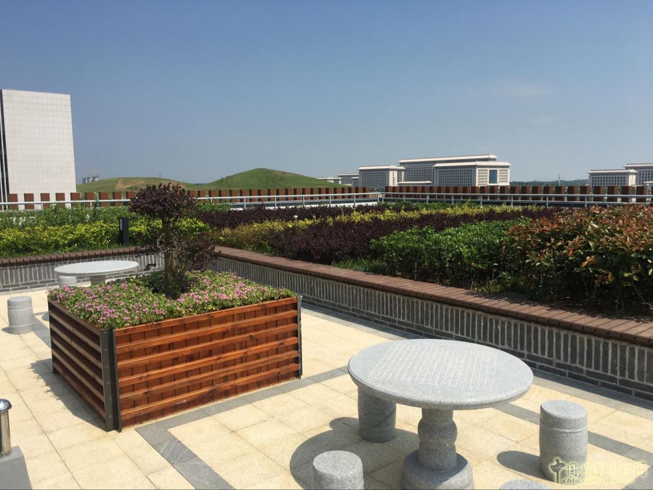 2016園冶杯:安徽城鄉規劃大廈景觀綠化工程