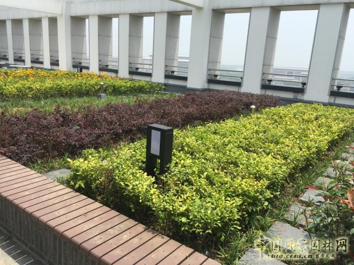 2016園冶杯:安徽城鄉規劃大廈景觀綠化工程