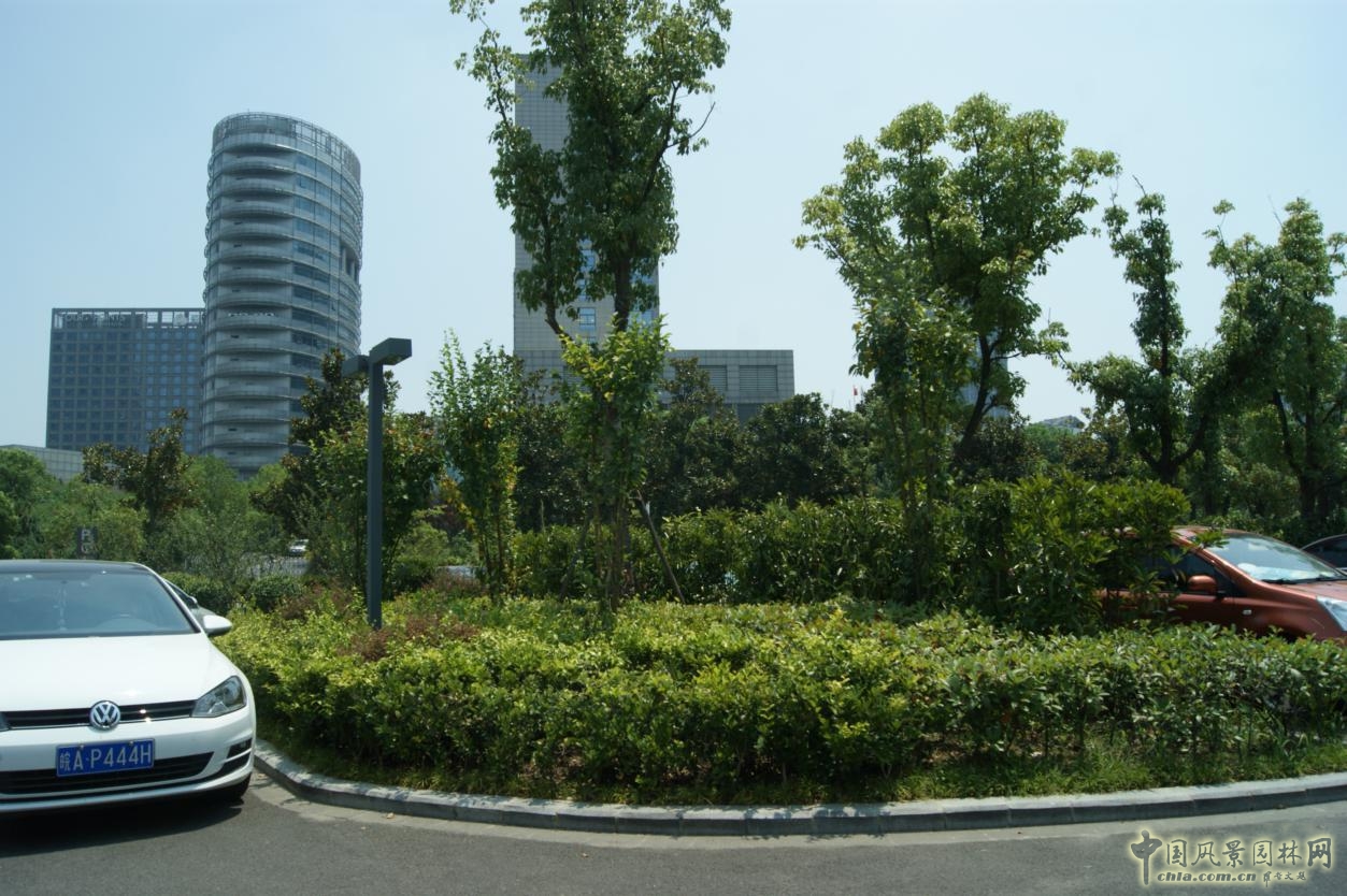 2016園冶杯:合肥市政務綜合樓室外停車場改造