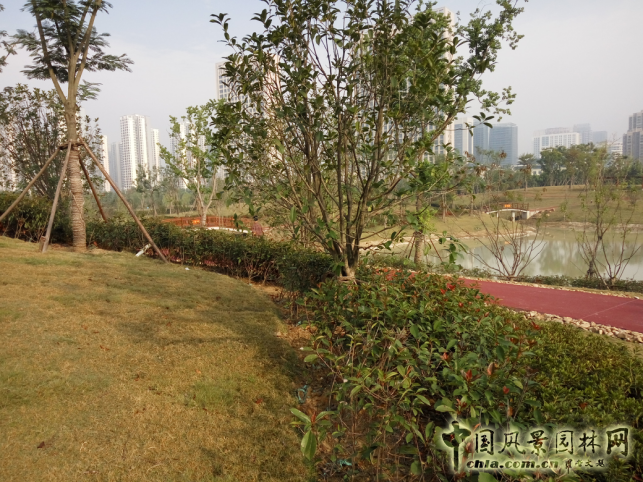 2016園冶杯:塘西河公園景觀（廣西路以西）綠化提升工程