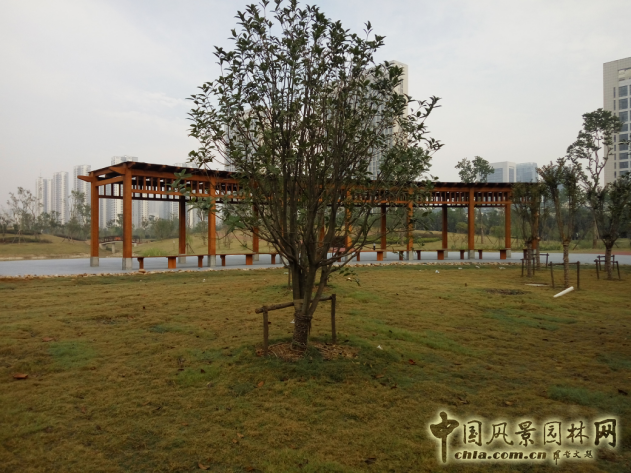 2016園冶杯:塘西河公園景觀（廣西路以西）綠化提升工程