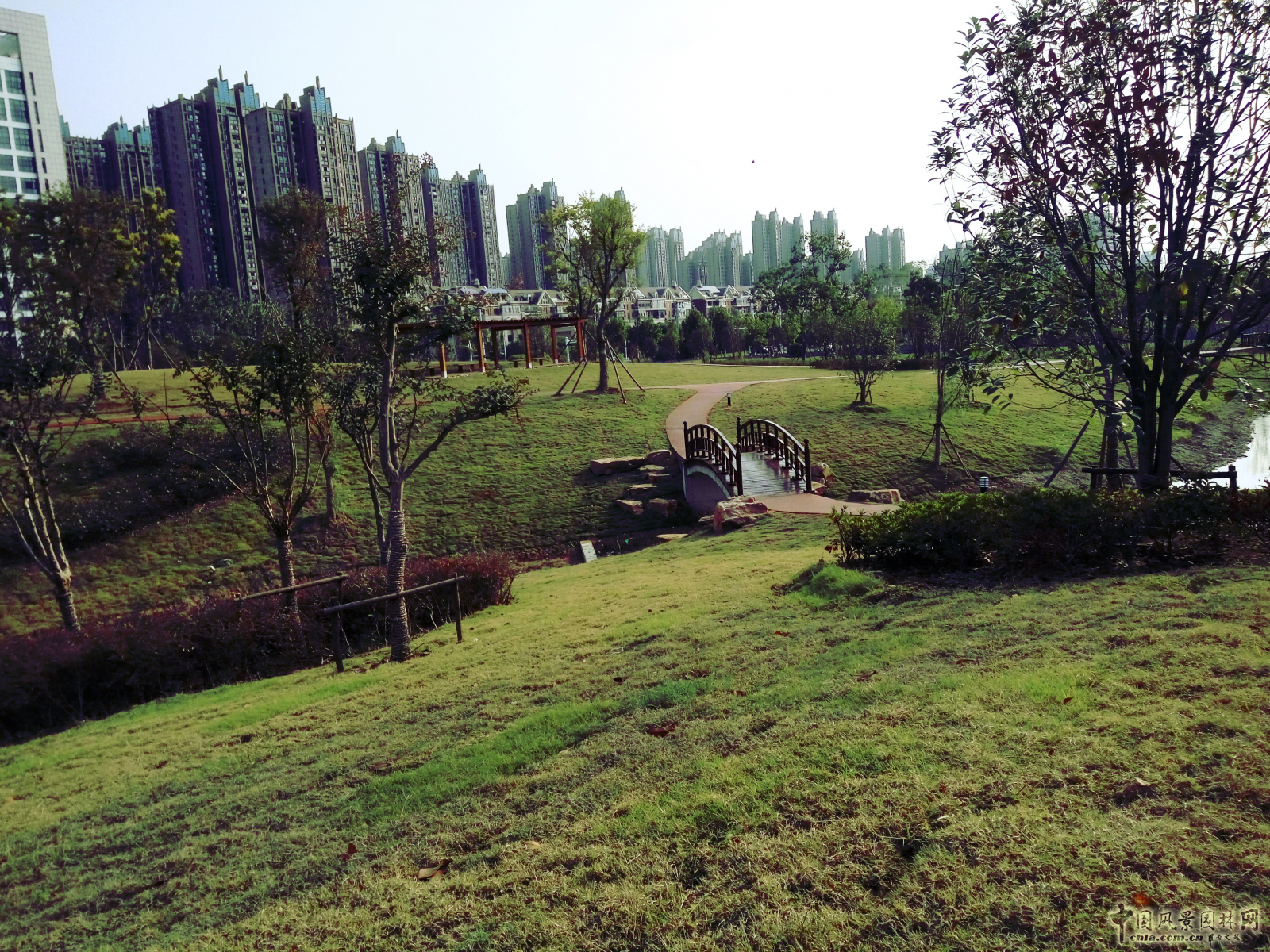 2016園冶杯:塘西河公園景觀(廣西路以西)綠化提升工程