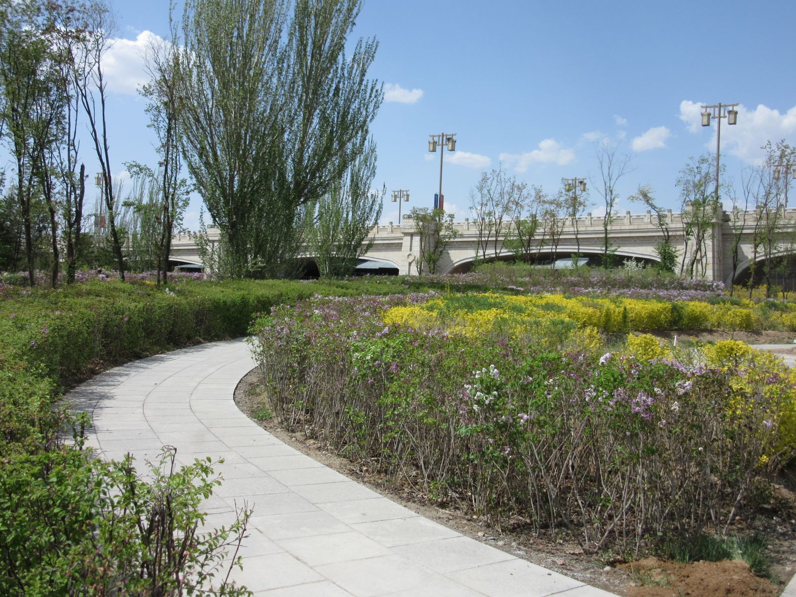 2016園冶杯:御河?xùn)|岸景觀綠化工程（二期）C段