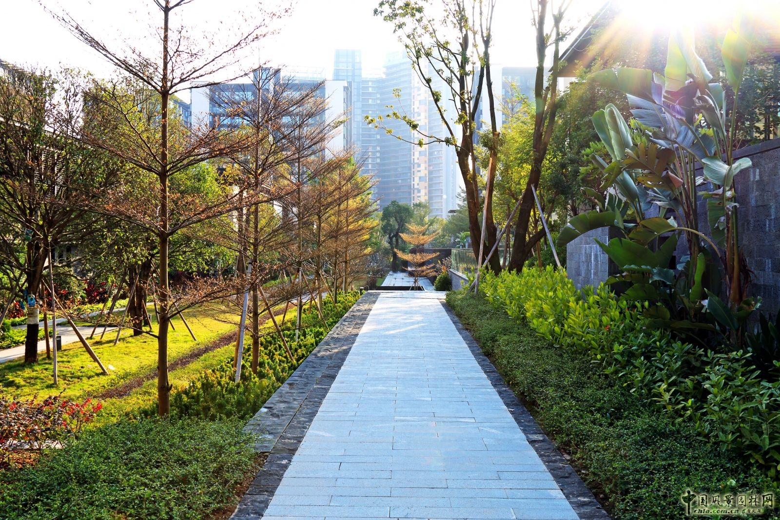 2016園冶杯：深圳華僑城香山美墅