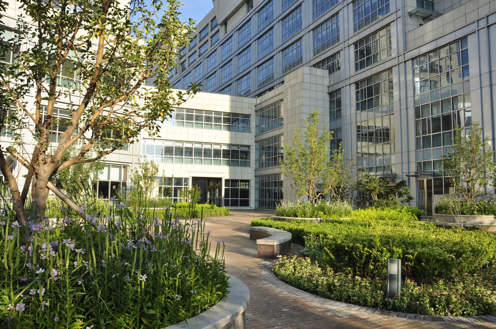 2016園冶杯專業獎參賽項目：北京大學國際醫院景觀工程設計