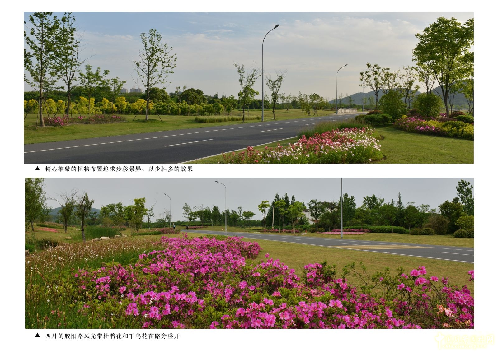 2016園冶杯：無錫錫東新城膠陽路景觀設計