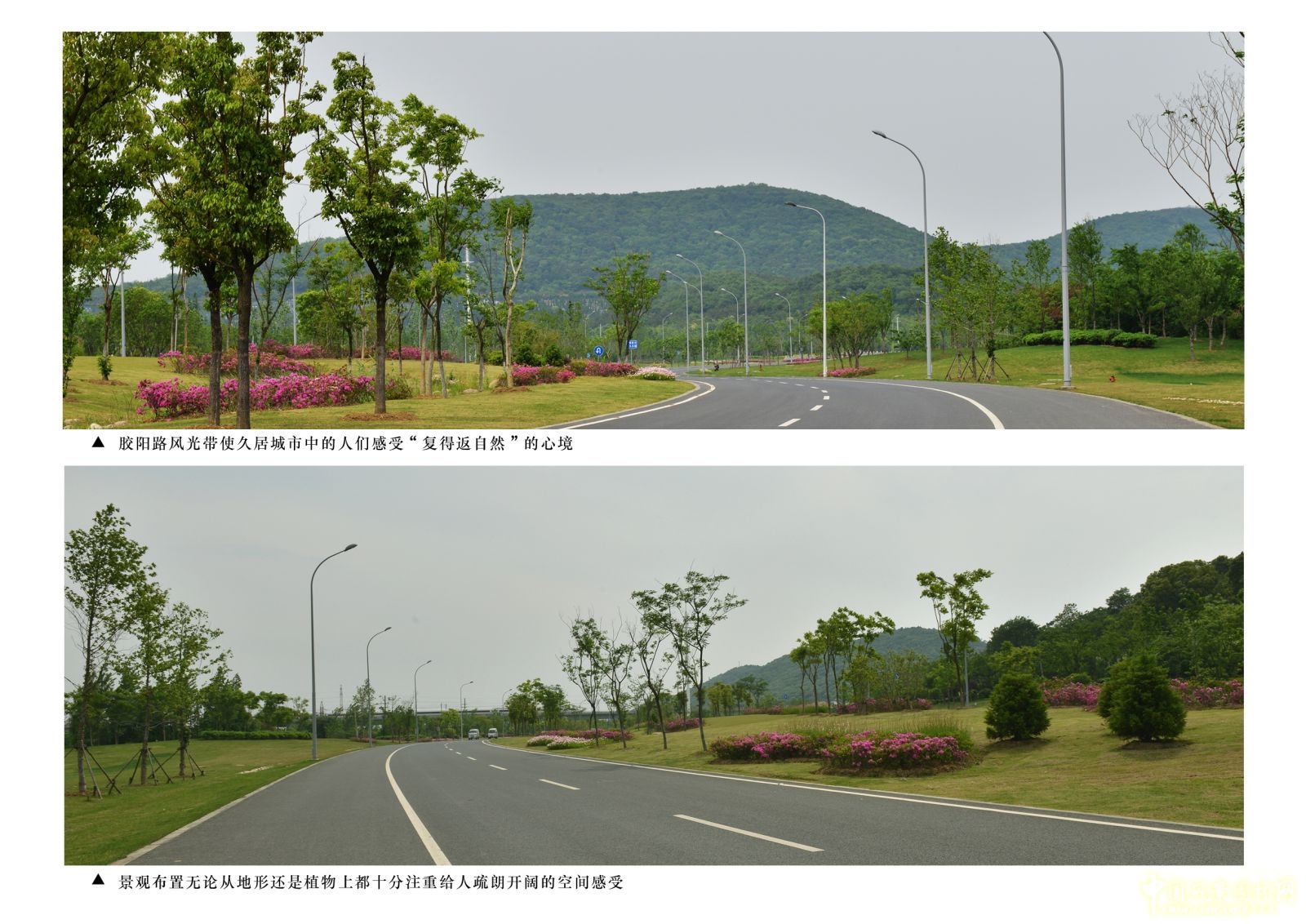 2016園冶杯：無錫錫東新城膠陽路景觀設計