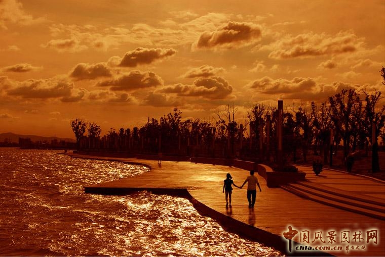 2016園冶杯：尹山湖環湖二期景觀設計