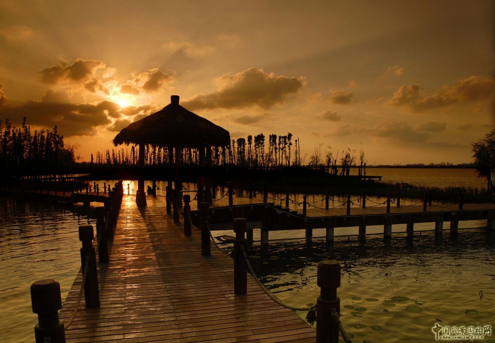 2016園冶杯：尹山湖環湖二期景觀設計