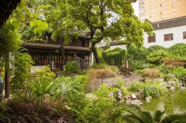 中國古典園林鑒賞:江蘇一些小而精的園林
