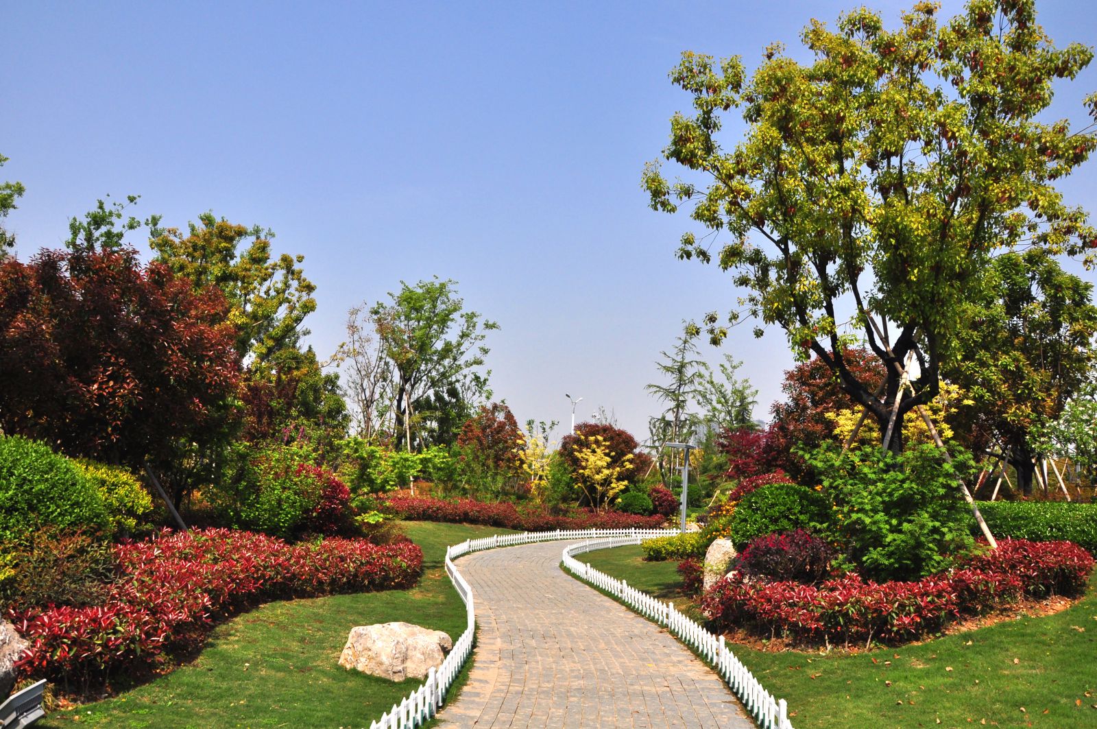 2016園冶杯專業(yè)獎參賽項目：金龍湖珠山南北坡