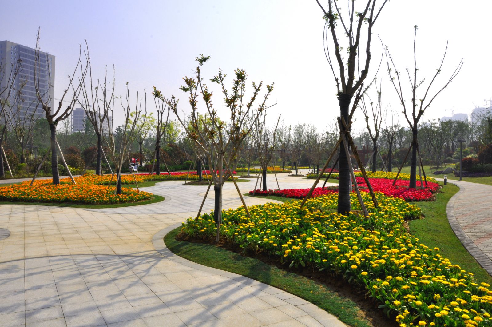 2016園冶杯專業獎參賽項目：金龍湖珠山南北坡