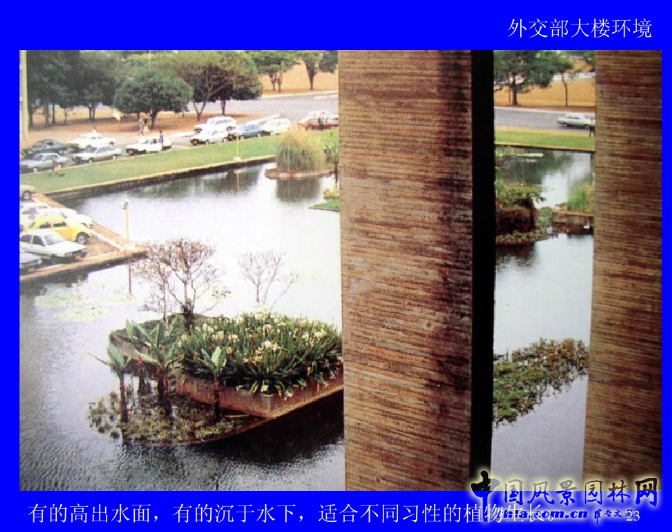 拉丁美洲的景觀設計