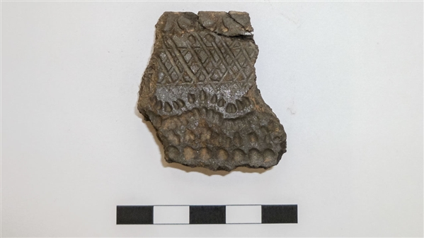 古陶器揭示古人類烹調植物最早證據