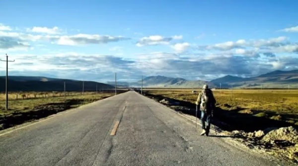 風景如畫的道路景觀