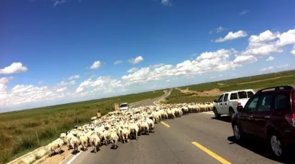 風(fēng)景如畫的道路景觀