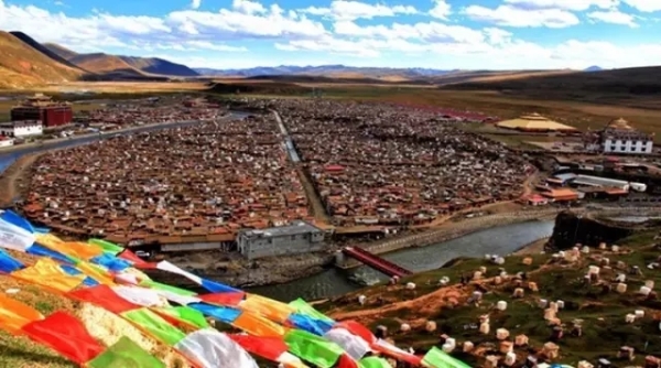 風景如畫的道路景觀