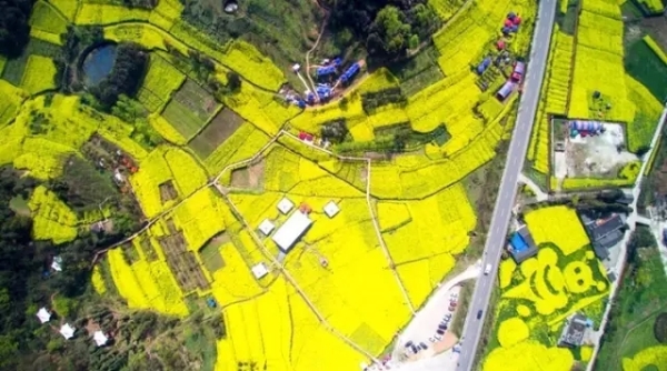 風景如畫的道路景觀