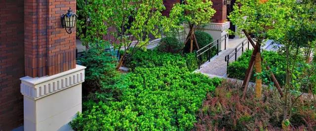 DDON笛東榮獲2016年北京園林優(yōu)秀設(shè)計獎