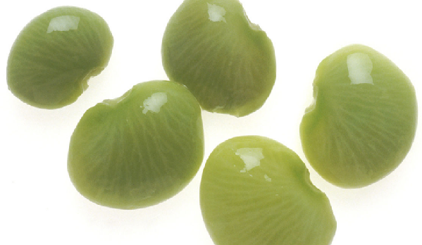 植物抗蟲性：打造最完美的“防御措施”