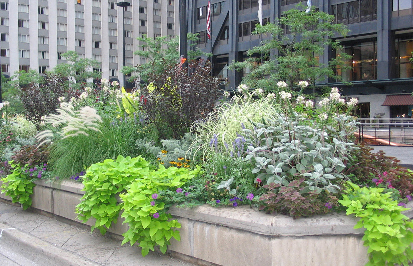 美國密歇根大道街道景觀