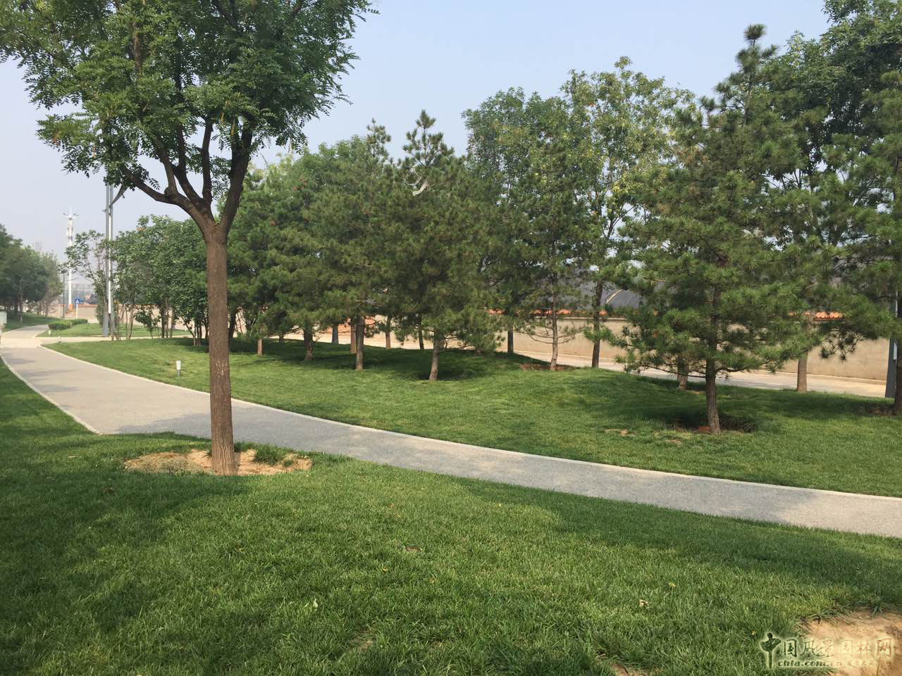 熱烈祝森源達(dá)園林成為CHLA理事單位