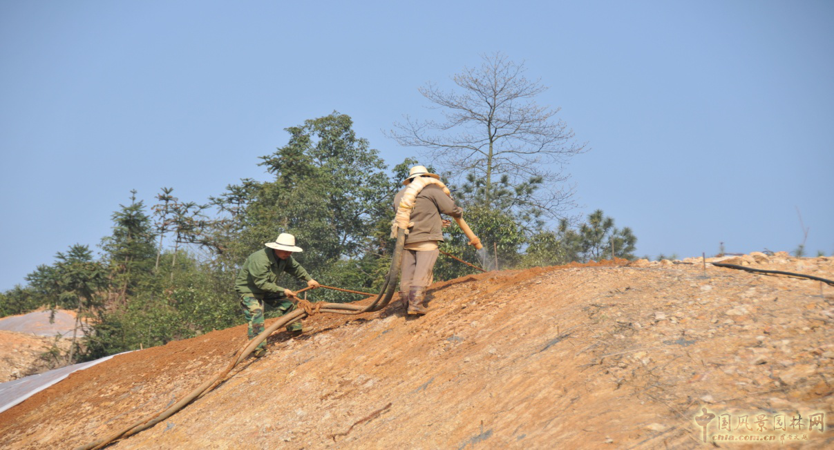 熱烈祝森源達(dá)園林成為CHLA理事單位