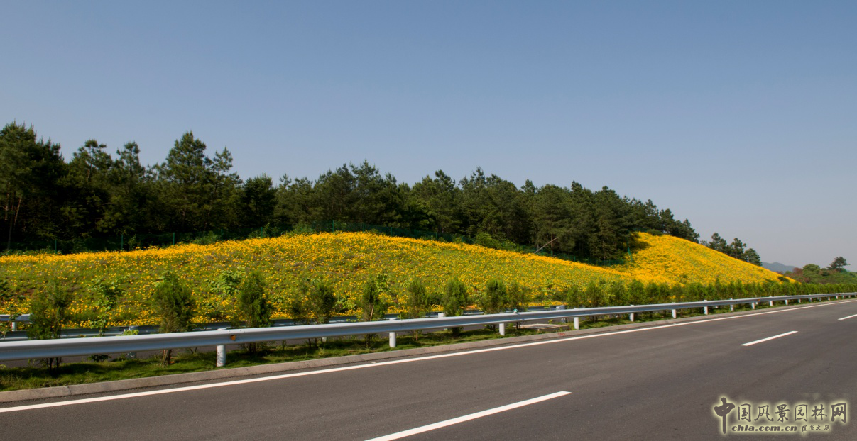 熱烈祝森源達(dá)園林成為CHLA理事單位