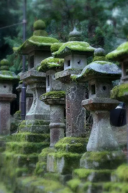 園林鑒賞：日本庭院中的美學(xué)禪意