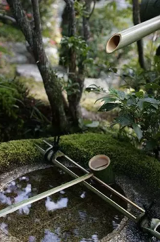 園林鑒賞:日本庭院中的美學禪意