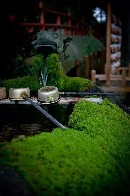 園林鑒賞:日本庭院中的美學禪意