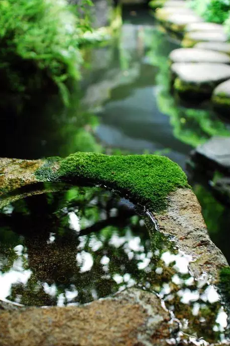 園林鑒賞:日本庭院中的美學禪意