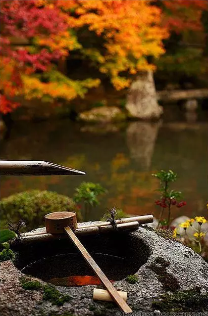 園林鑒賞:日本庭院中的美學禪意