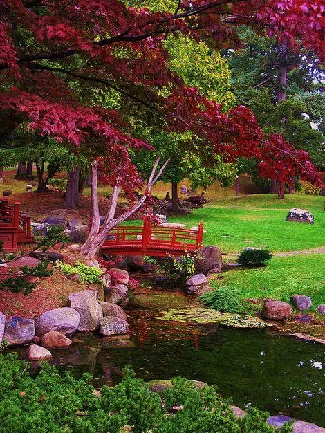 園林鑒賞:日本庭院中的美學禪意