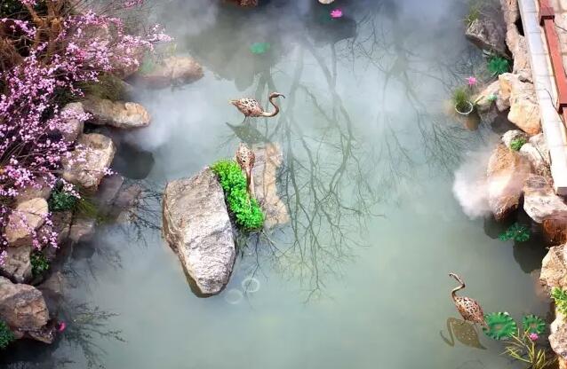 棕櫚工程：南京新城 · 璞樾鐘山