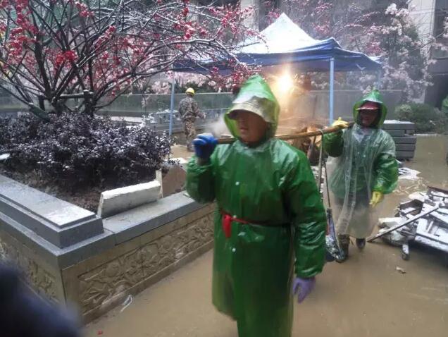 棕櫚工程：南京新城 · 璞樾鐘山