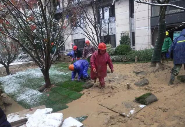 棕櫚工程：南京新城 · 璞樾鐘山