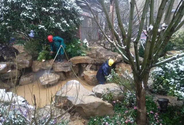 棕櫚工程：南京新城 · 璞樾鐘山