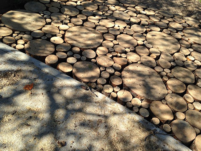 還給孩子們的童年——