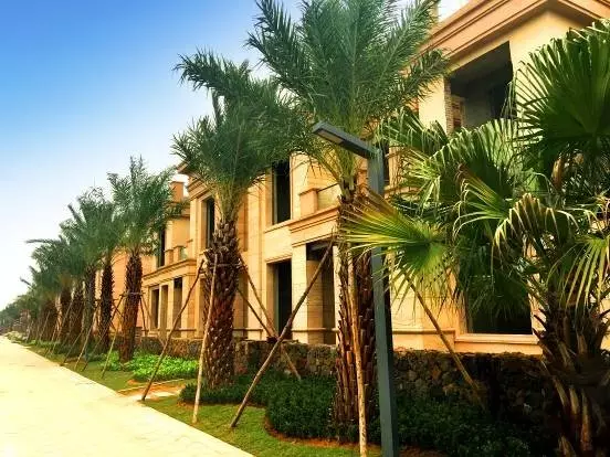 ?？凇跋愀窭锴f園”施工火熱進(jìn)行中