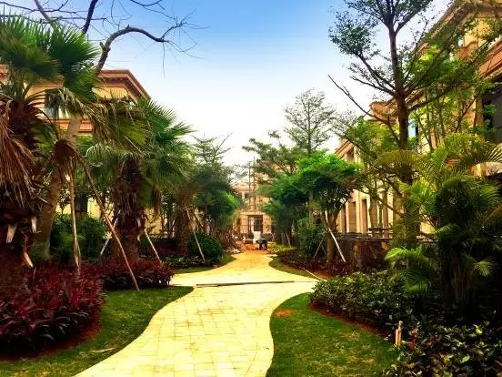 ?？凇跋愀窭锴f園”施工火熱進(jìn)行中