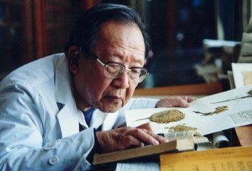 一草一木總關(guān)情——植物學(xué)家吳征鎰