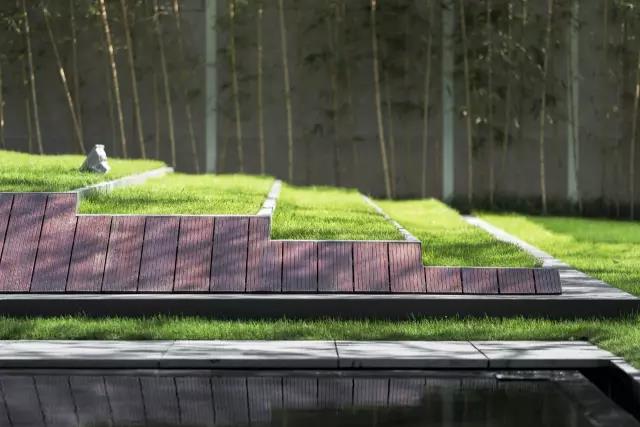 革故鼎新獲佳績 ,獨樹一幟引新潮