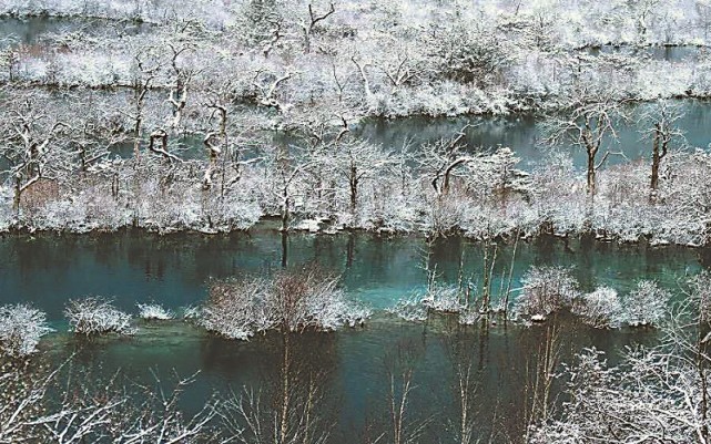 九寨溝樹木披冰花 碧水清波似淡彩水墨畫