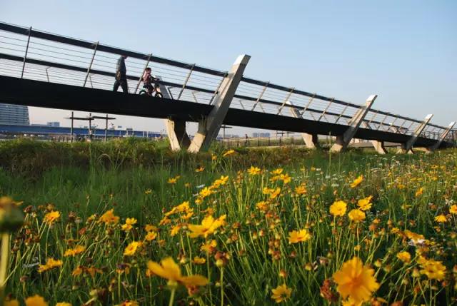 中國十佳生態景觀案例